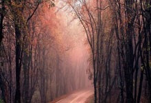 湖人惊险战胜奇才，詹姆斯压哨绝杀力克对手