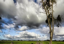 莱加内斯遭遇惨败，积分榜下滑