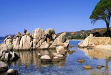 绿军再胜人，火力全开掀翻对手：软文之旅