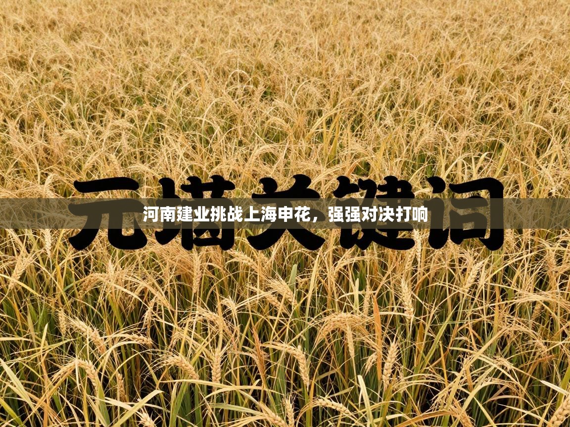 河南建业挑战上海申花,强强对决打响 第2张